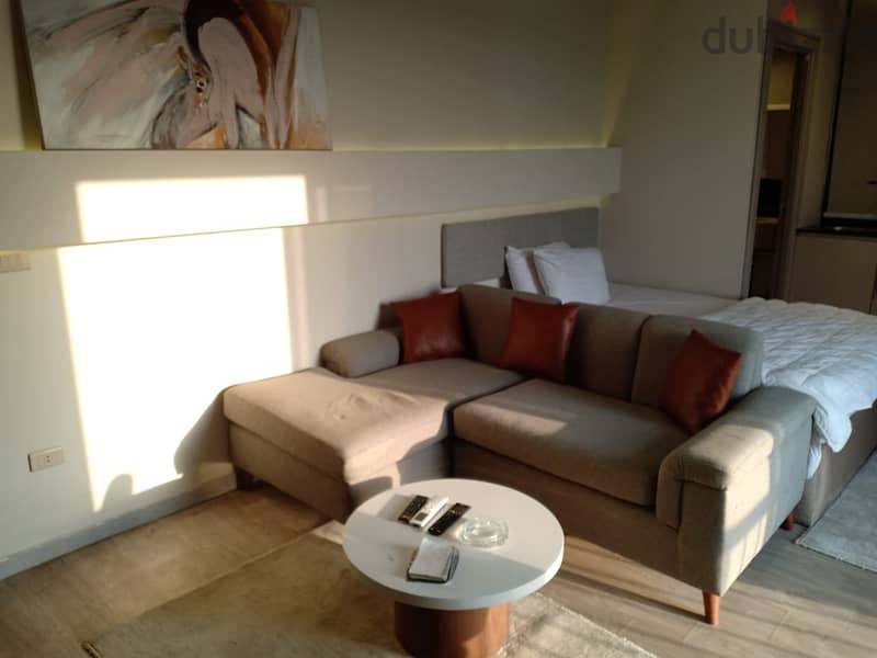 Furnished studio for rent in Zamalek on the Nile 3