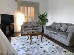 Furnished apartment for rent in Zamalek, Ahmed Sabry Street 0