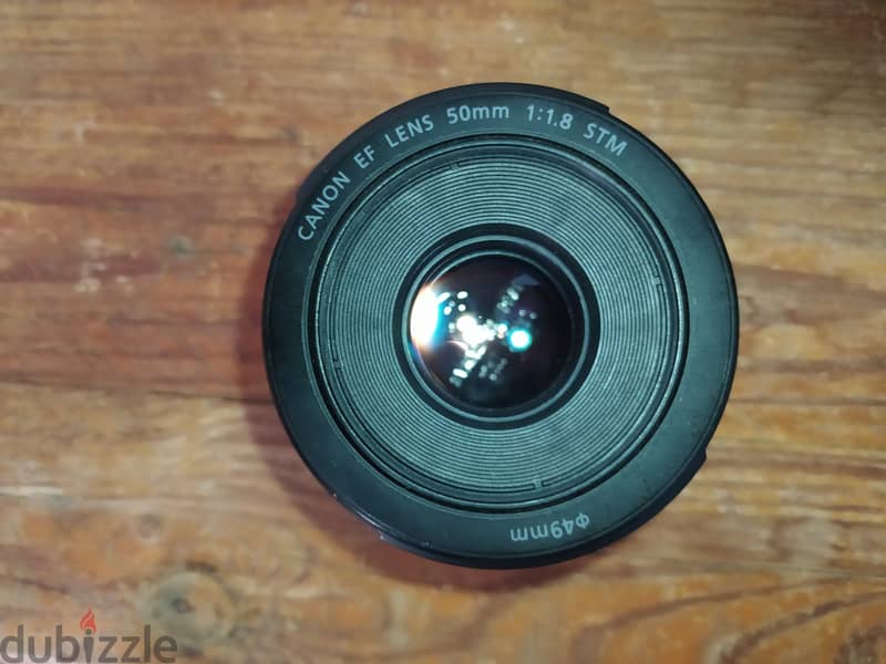 Canon EF 50mm f/1.8 STM Lens 1