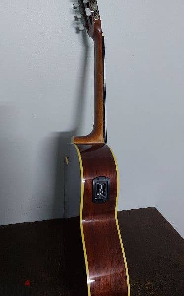 Guitar Samich C2CE Model 1