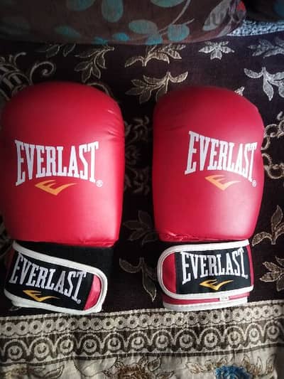 everlast