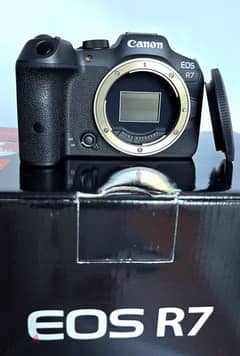 For sale Canon R7 body like new