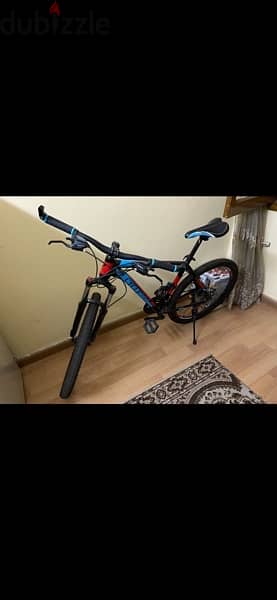 Cycle pro shadow 1