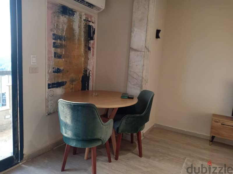 Furnished studio for rent in Zamalek on the Nile 5