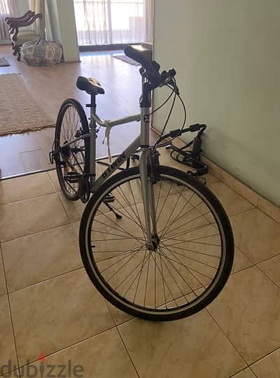 For sale: Hybrid bike Riverside 120 - metal grey