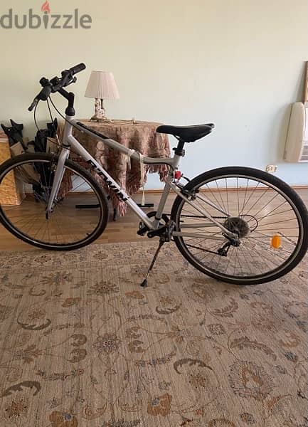 For sale: Hybrid bike Riverside 120 - metal grey 1