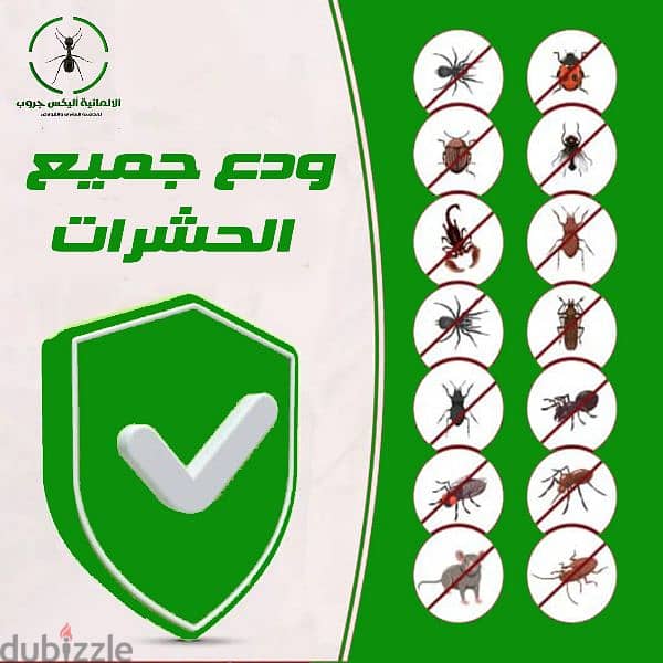 مكافحة حشرات المنازل والجاردن بجميع انواعها 5