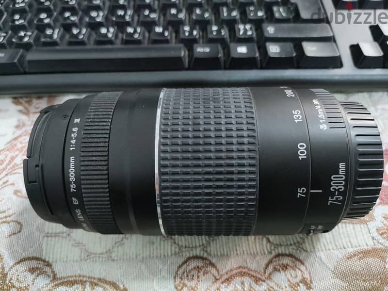 canon zoom lens EF 75-300mm 5