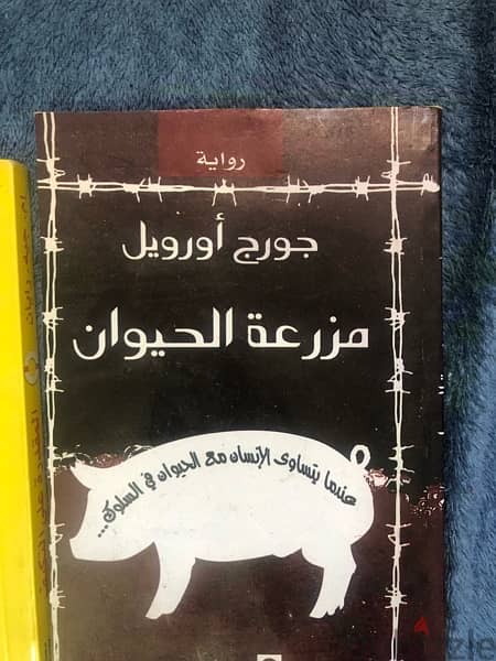 كتب  ١٢ 11