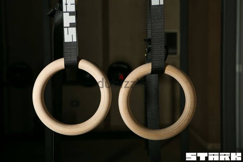 Gymnastics Rings 1