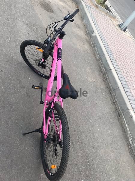 Sandy mountain bike - size 21 4