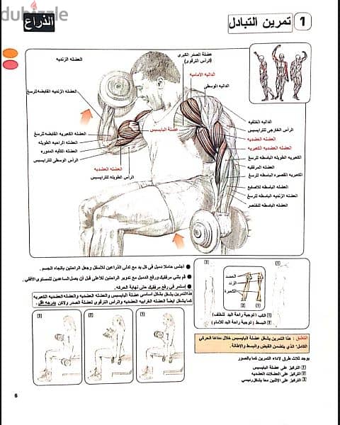 كتاب تشريح تدريب القوة PDF 2