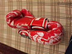 Gloves جلوفس ملاكمة