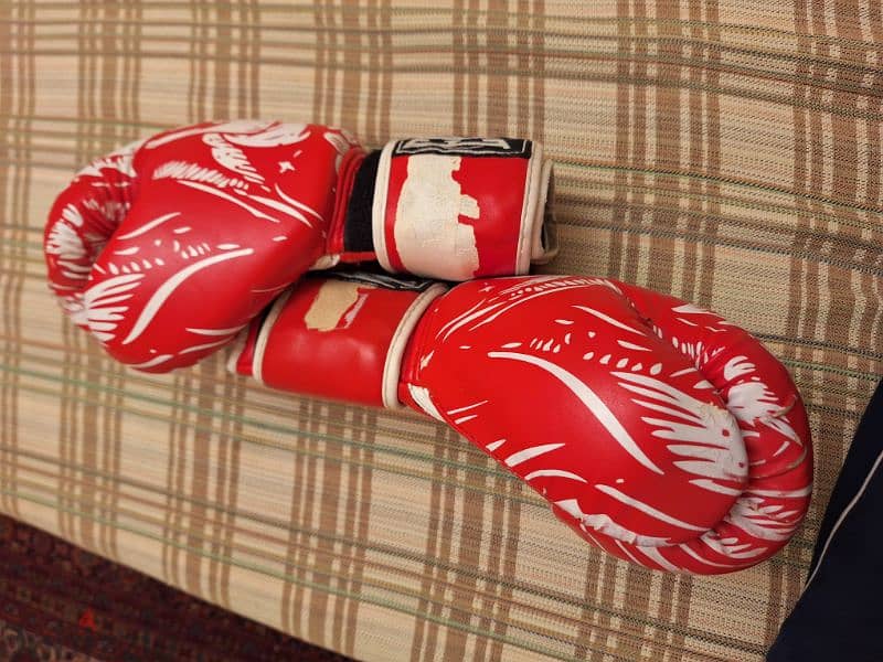 Gloves جلوفس ملاكمة 1