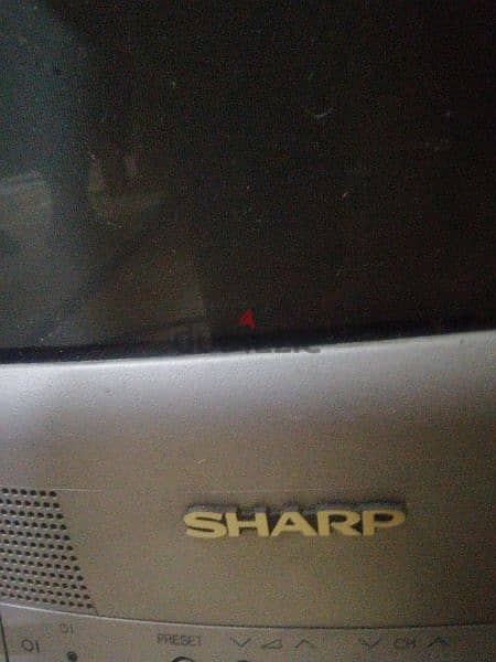 sharp 1