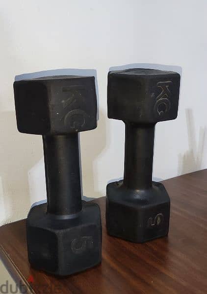 dumbbells set of two 5 kgs 3