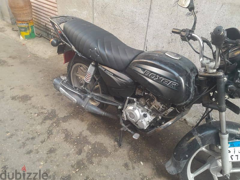 boxer  Bajaj 0