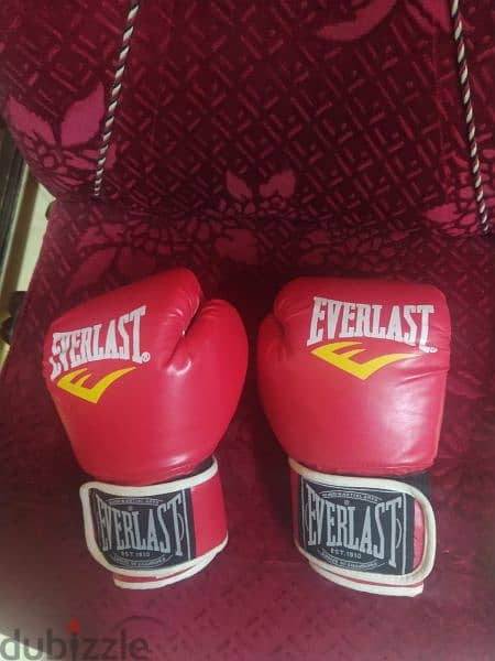 boxing bag $ gloves 1