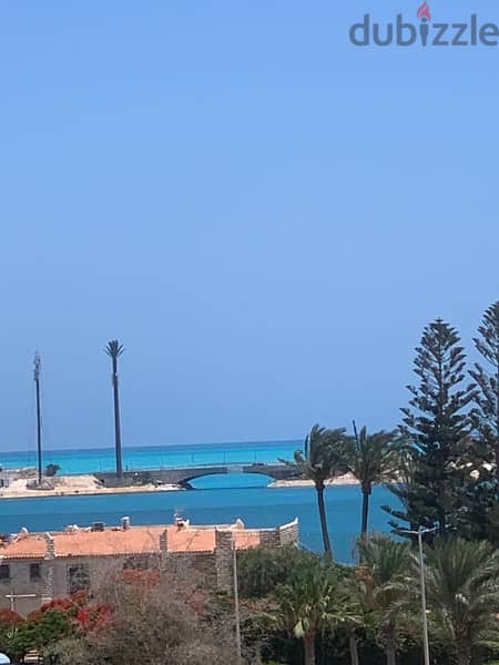 متاح من (الأربعاء ١١ سبتمبر ٢٠٢٤) شاليه sea view في مارينا ٤ 16