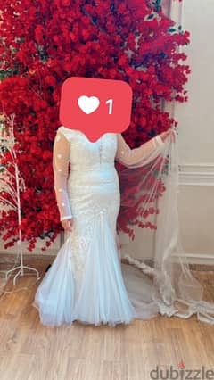 فستان زفاف استخدام مره واحده فرست  بس  ٣ ساعات سيشن