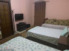 Furnished apartment for rent in the third district, next to Arabella Plaza 0