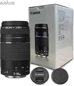 Canon EF 75-300mm f/4-5.6 III
