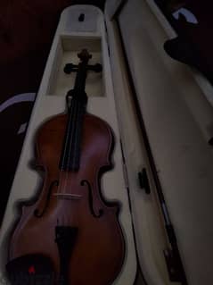 violin