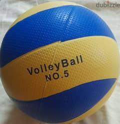 volleyball