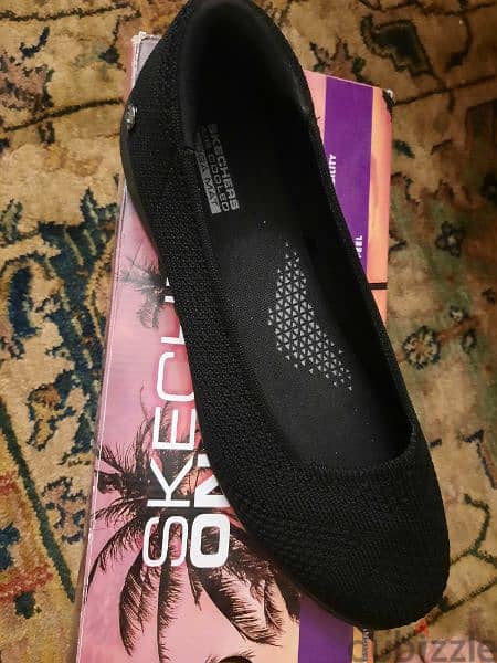 sketchers 5