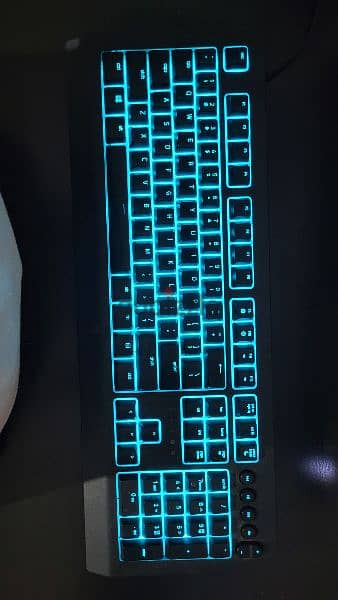 razer cynosa v2