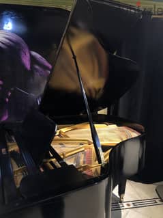 German grand piano for a professional