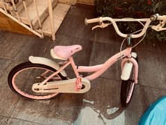 pink canyon bike girls
