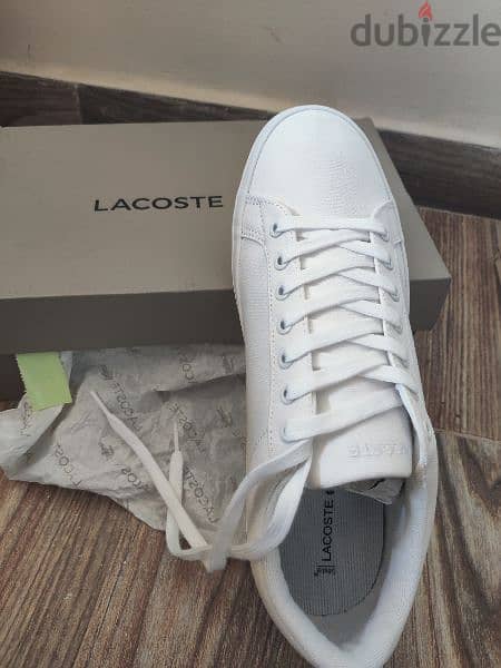 Lacoste shoes for men 1