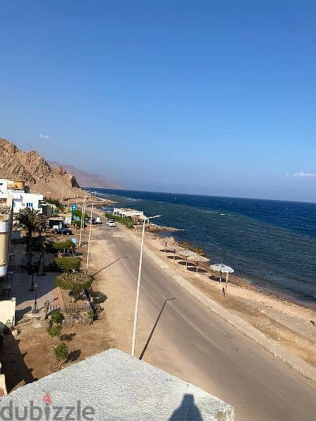 BiG chance in dahab 5