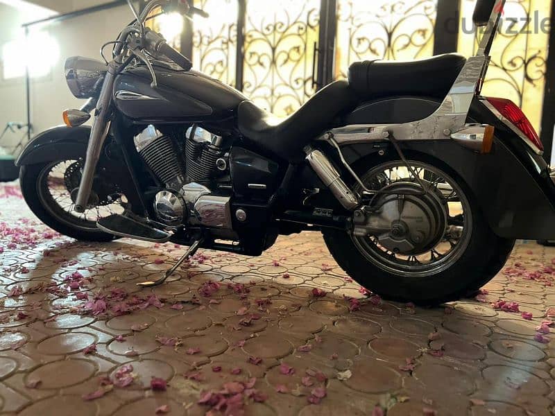 Honda Shadow 2010 7