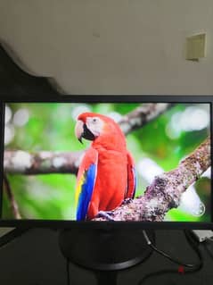 Dell LCD Screen 21 - شاشه ديل ٢١ بوصه