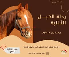 رحلة خيل  للاهرامات