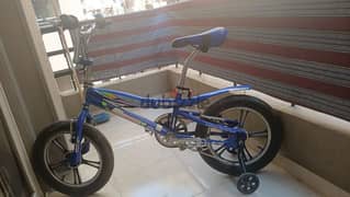 bmx bike size 16