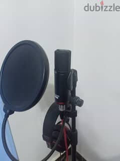 Focusrite Microphone cm25 mkii