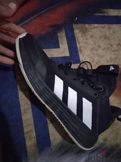 Adidas original shoes size 46 basketball_ volleyball