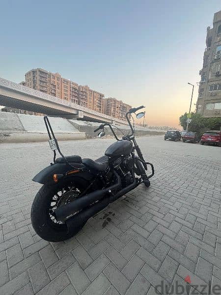 Harley Davidson Softail Street Bob 5