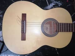 Cort guitar 0