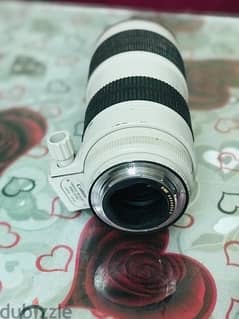 canon lens 70/200 v2 0