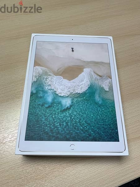 iPad Pro (12.9-inch) Wi-Fi + Cellular 512g 5