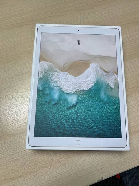 iPad Pro (12.9-inch) Wi-Fi + Cellular 512g 6