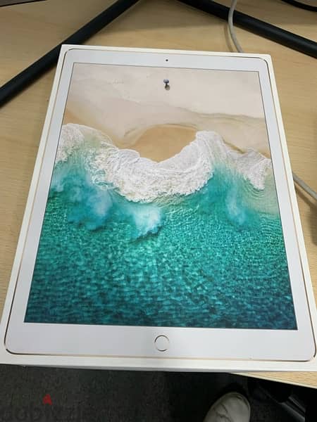 iPad Pro (12.9-inch) Wi-Fi + Cellular 512g 10