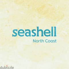 seashell