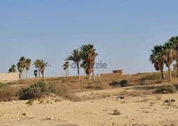 دريم لاند قطعه ارض للبيع 1155م بالرخصه بمنطقه الجولف الجديد