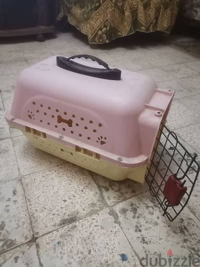 بوكس كلاب وقطط صغير
