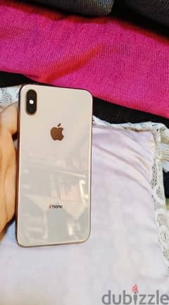 xs max 256g